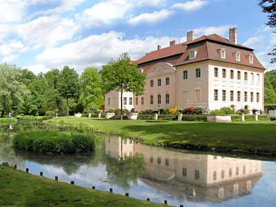 Srn - Horní Lužice - 2020